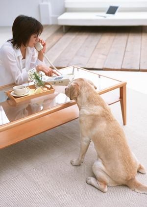メディアにも紹介される犬用品専門店