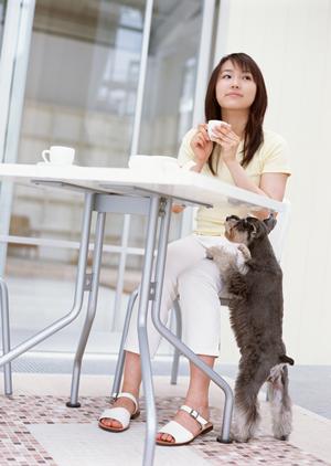 うさぎの購入を希望している場合について